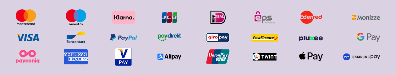Logos of accepted payment methods with Payworld, like Mastercard, Visa, PayPal, Bancontact, Klarna, Google Pay, Apple Pay, and more.